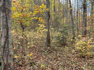 70 Millstone Rd, Clay City, KY, 40312