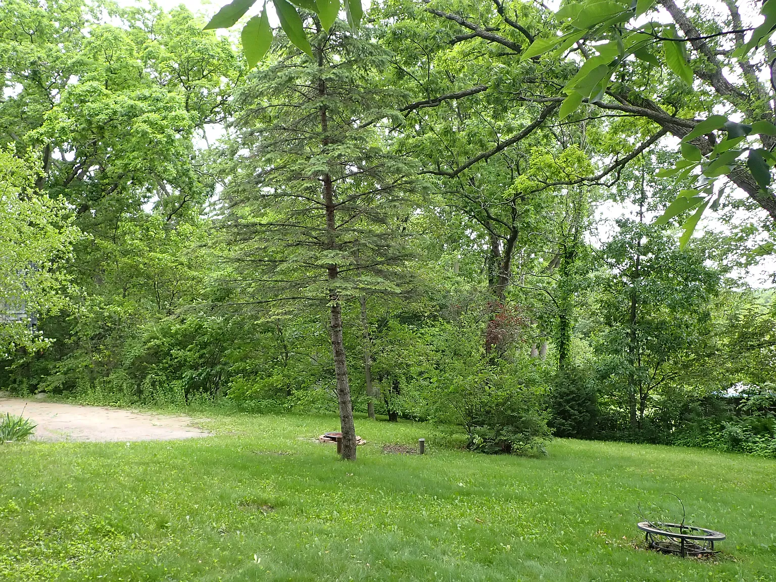 1 bed, 650 sqft, $999 — Photo 3