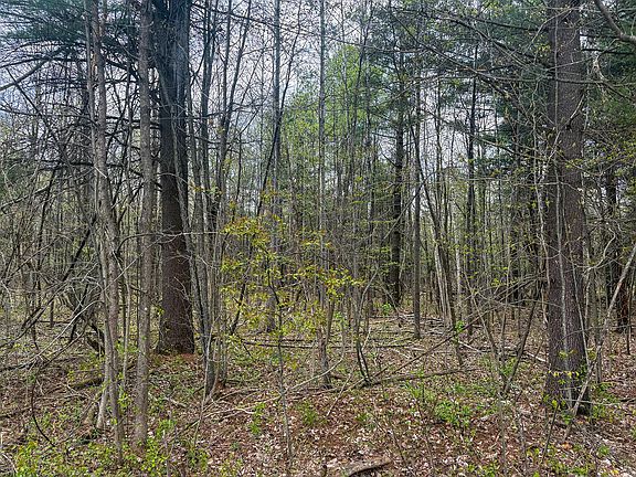 2nd image of 0 Callahan Rd
