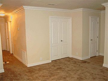 Crown moulding & carpet