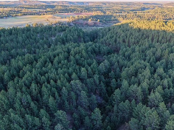 Dji Fly 20260519 194806 0177 1779297561884 Photo
