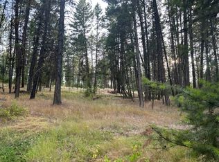 232 High Country Rd, Plains, MT 59859