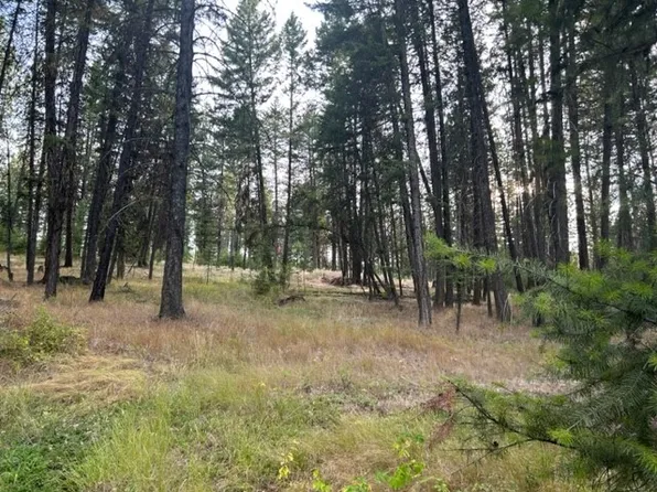 232 High Country Rd, Plains, MT 59859
