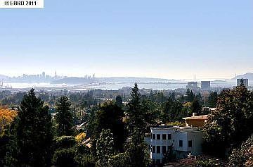 bridge and city views