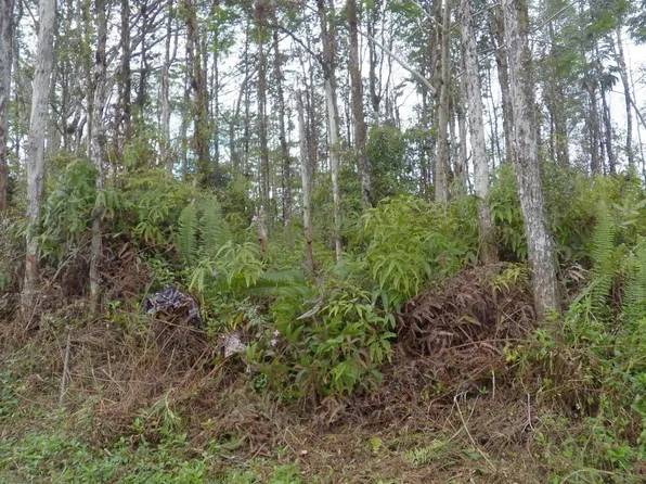 Lanai Rd Lot 371, Pahoa, HI 96778