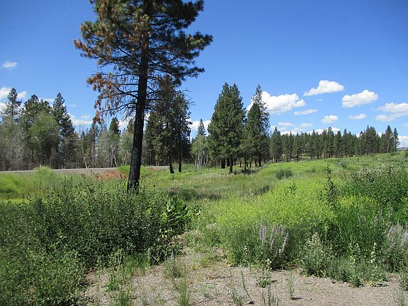 5th image of Nka Hwy Lot 103-62
