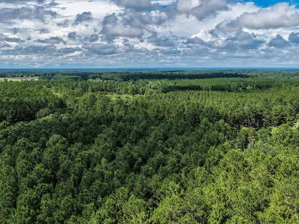 County Line Rd, Shepherd, TX 77371