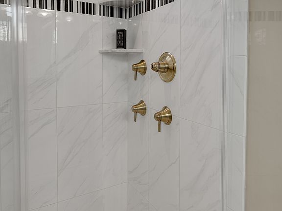 Stylish owner s shower