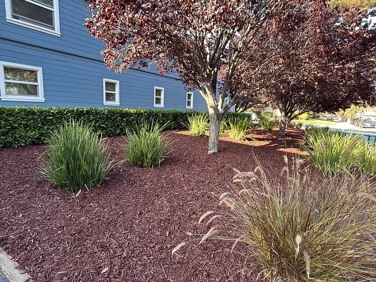 675 Johanna Ave #3 — Photo 22