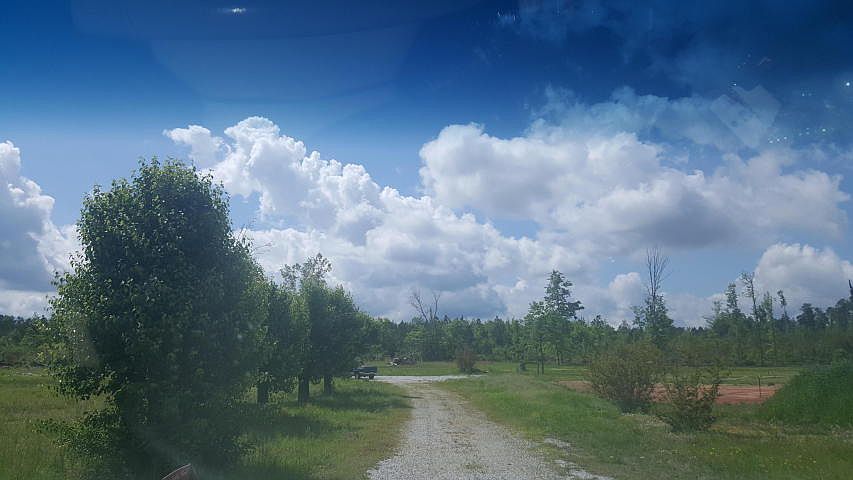 2nd image of 880 Brooksville Rd