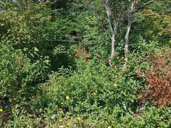 11 Point Leamington Highway, Northern Arm, NL A0H1E0