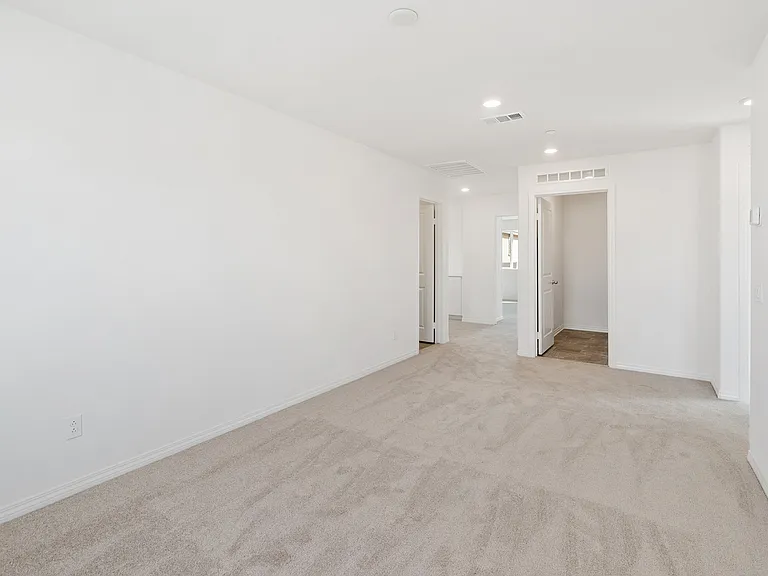 30163 Spineflower St — Photo 13