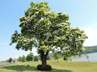 Crown Pointe Rd LOT 33, Lafollette, TN 37766