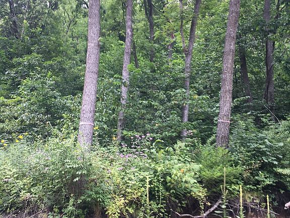 3rd image of 55470 State Highway 171