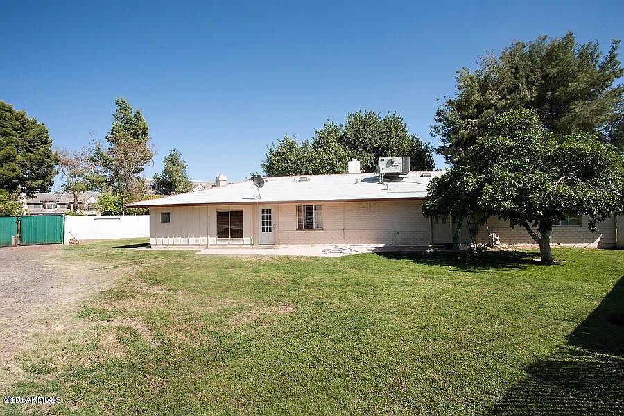 back yard