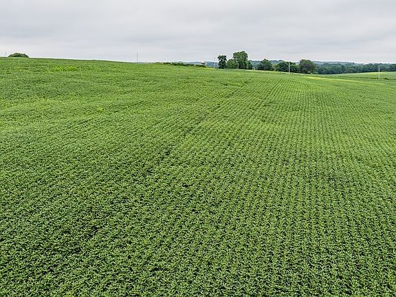5th image of County Road 75