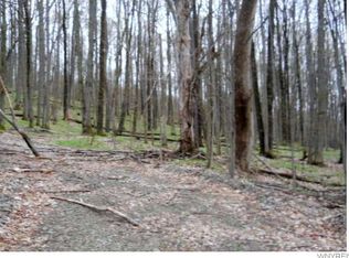 0 Woodard Rd, Ellicottville, NY 14731