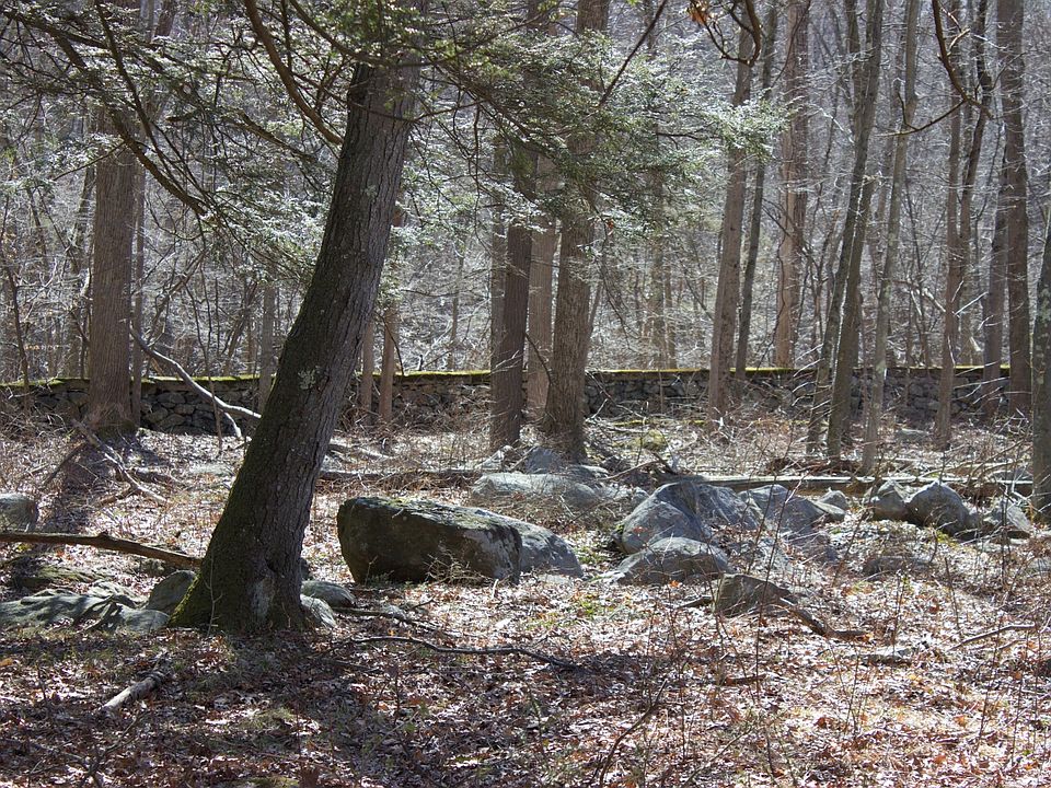 2nd image of 188 Avery Rd
