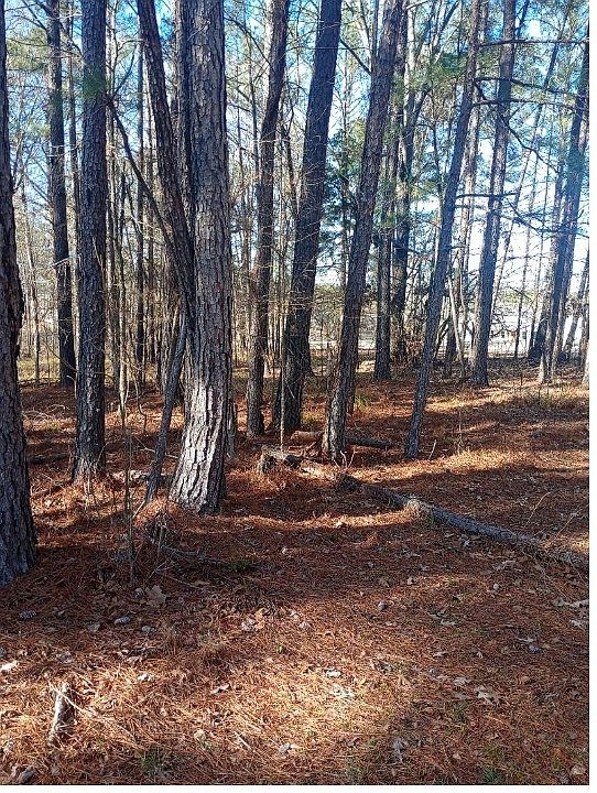 2nd image of 437 Hayneville Ridge Rd