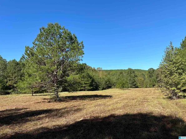 4434 County Road 86 #1, Calera, AL 35040