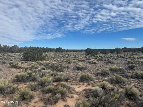 Lot 338 Sierra Highlands Ranch -- #338, St Johns, AZ 85936