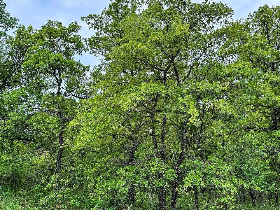 1st image of 143 Briarwood Trl