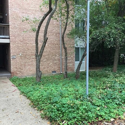 1st image of 5827 Oakwood Dr APT A
