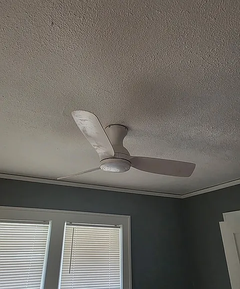 one of the three new fans