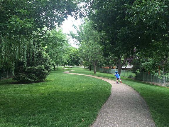 Walking path behind house.