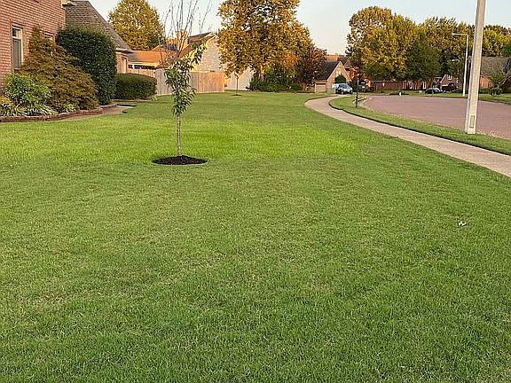 LARGE CORNER LOT