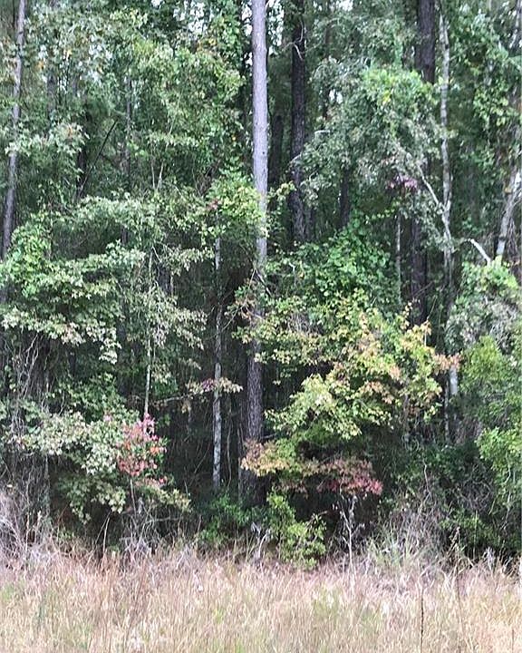 1st image of 0 Hwy 40