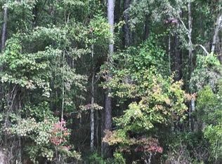 0 Hwy 40, Kingsland, GA 31548