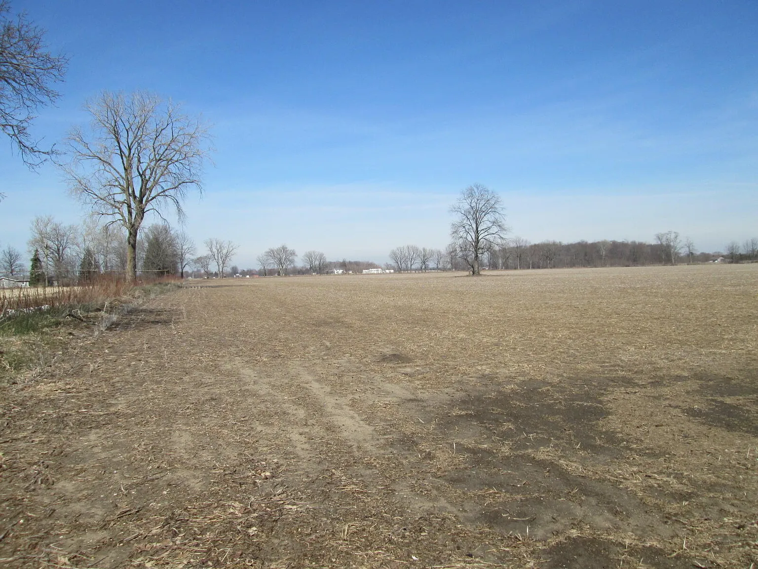 V/l W Lemon Creek Rd #1 photo 1
