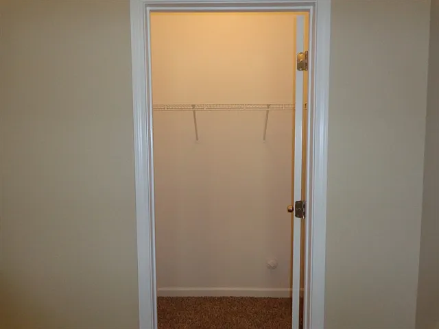3661 Morinda Dr — Photo 29