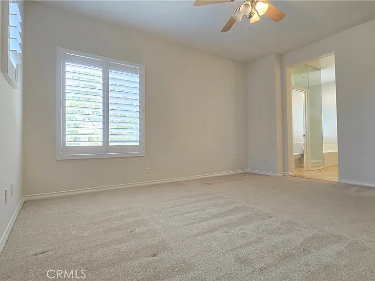 29 Carnation — Photo 22
