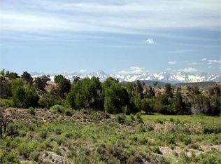 21330 6785th Ct, Montrose, CO 81403