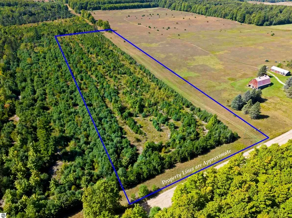 0 Shively Rd SE, Fife Lake, MI 49633