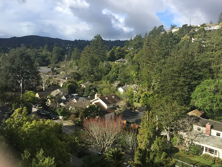 Marlin Ave — Photo 4
