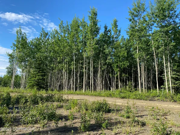 L16 Grandview Cir, Delta Junction, AK 99737