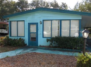 119 Willow Drive, Lake Helen, FL 32744