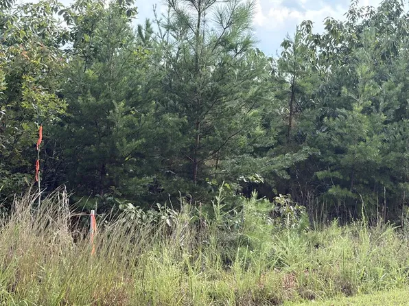2020 Ashcake Creek Rd, Scottsburg, VA 24589