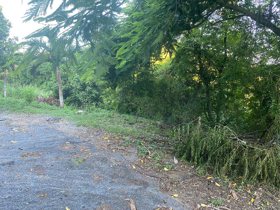 14 Bonne Esperance Est Saint Thomas VI Zillow