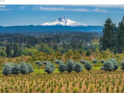 27055 SE Meier Ln, Damascus, OR, 97089