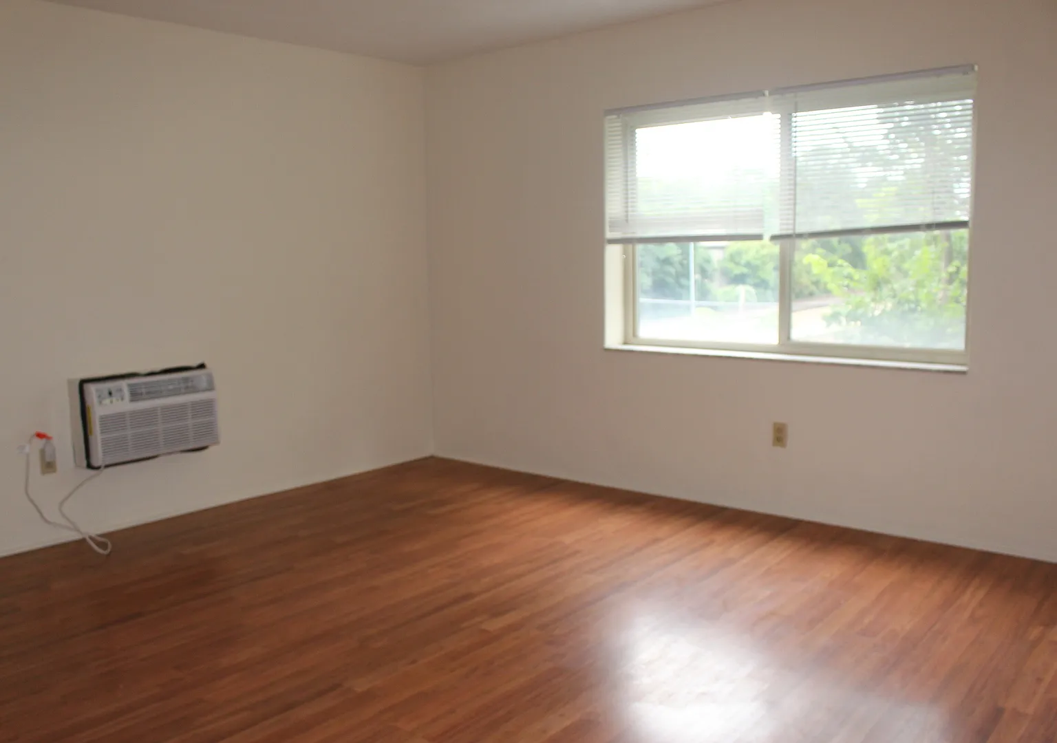 OAK — Photo 3