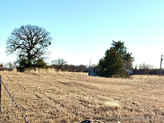 4th image of Brush Turkey Rd