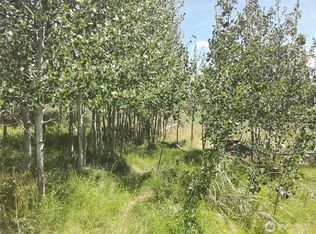 0 Painted Rock Rd, Tonasket, WA 98855