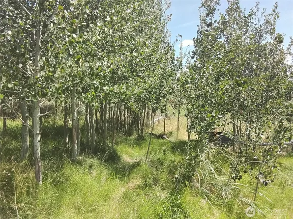 0 Painted Rock Road, Tonasket, WA 98855
