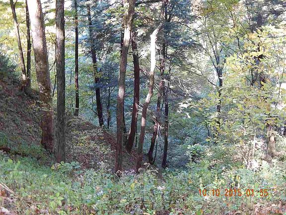5th image of 5002 Dove Bill Ln