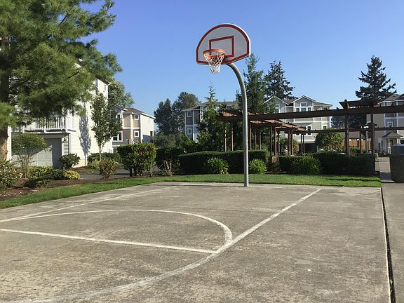 Basketball Half-Court
