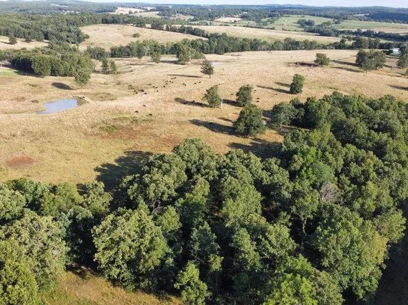 000-A County Line Road, Mountain Grove, MO 65711